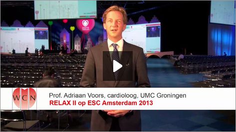 Subgroepen in RELAX II